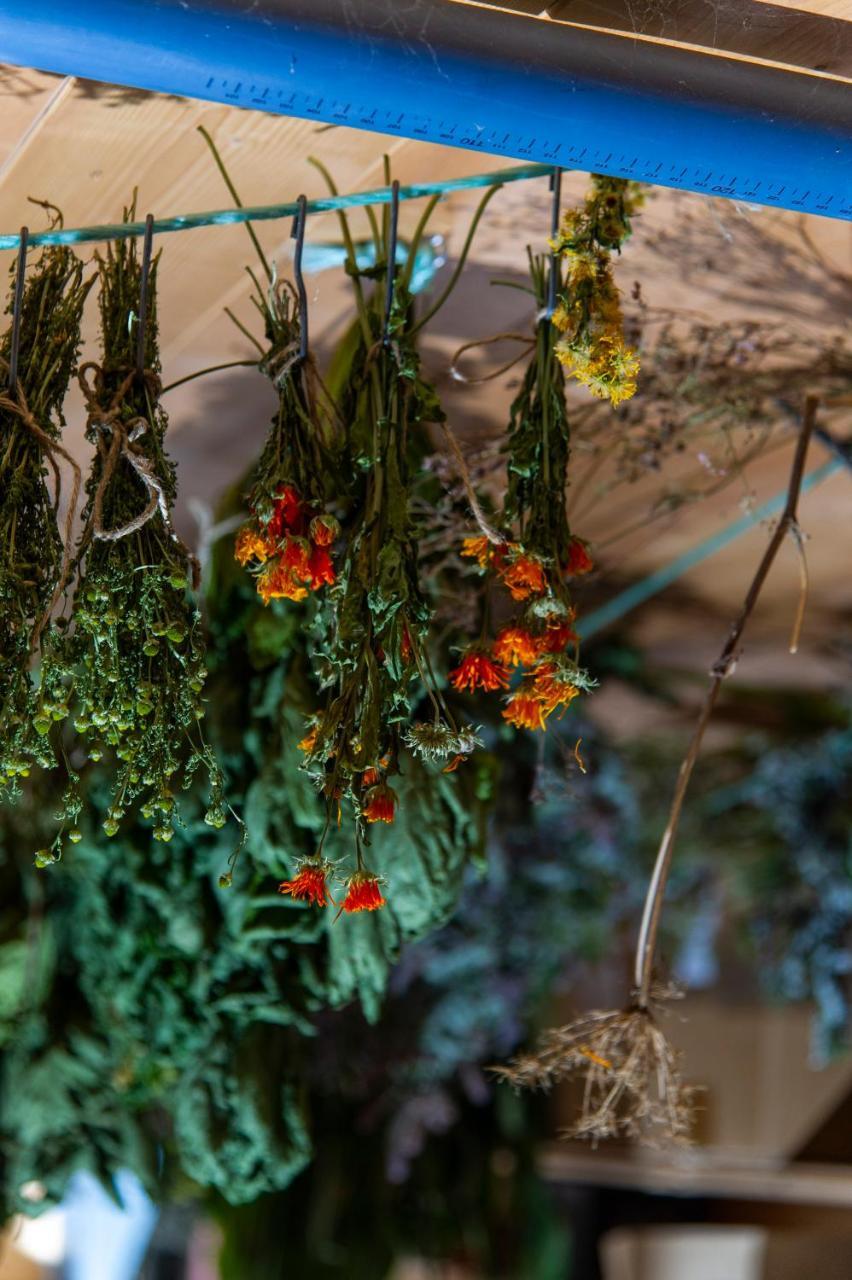 Heimat - Das Natur Resort Prägraten Eksteriør billede